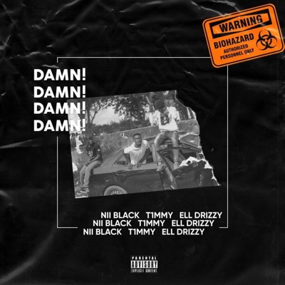 Damn (feat. T1mmy & Ell Drizzy) - Single