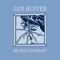 Monkey Bars - Sam Hunter lyrics