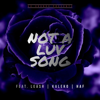 Not a Luv Song (feat. Leash, Kaleko & Haf) - Single