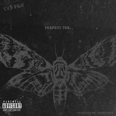 Perfect Ten - Single
