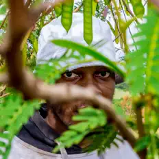 BlxckTintCrimson सुनें, म्यूज़िक वीडियो देखें, बायो पढ़ें, दौरे की तारीखें और बहुत कुछ देखें!