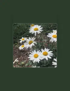 Escucha a Hugo Sebastian, mira vídeos musicales, lee la biografía, consulta fechas de giras y mucho más.