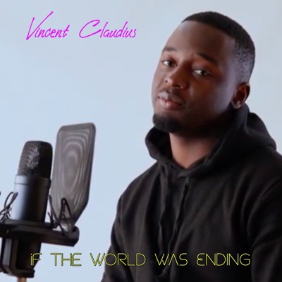 If the World Was Ending - Single