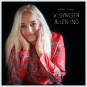 VI SYNGER JULEN IND - EP artwork