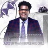 Jesus Oh What a Wonderful Child - Single