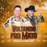 Voltando pro Mato - Single - Caninana & Gleydson Gavião