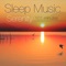 Sleep Sounds - Sleep Music with Nature Sounds Relaxation lyrics