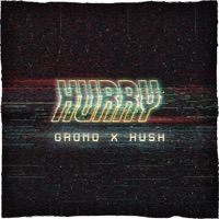 Hurry - Single - HUSH & Gromo