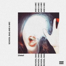 Risky (feat. Pavinci) 23skali