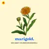 Stream & download Marigold (feat. Ari Lennox & Mannywellz) - Single