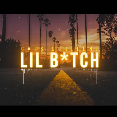 Lil' B*tch - Single