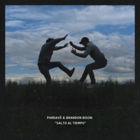 Salto Al Tiempo (feat. Brandon Bison) - Single - Pardavé