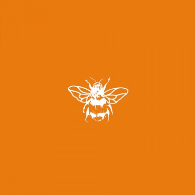 No Copio - Single