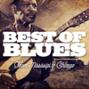 Best of Blues - From Mississipi to Chicago - Various Artists