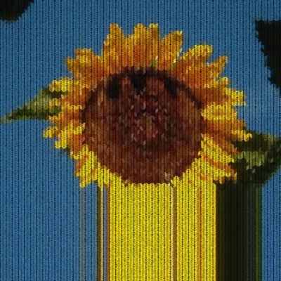 Little Sunflower - Single