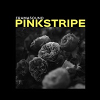 Pinkstripe - Single - Framasound