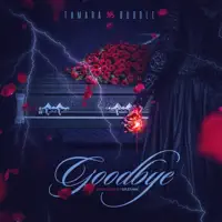 Goodbye — Tamara Bubble