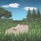 Sleep