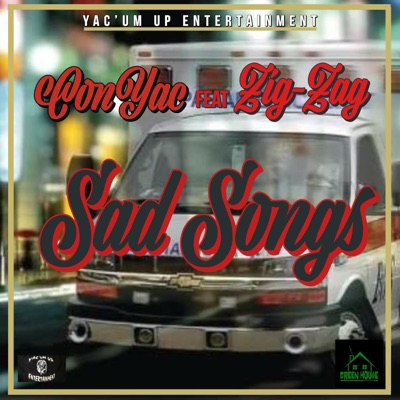 Sad Songs (feat. ZigZag) - Single
