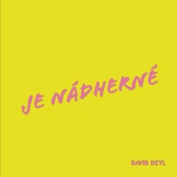 Je Nádherné - Single - David Deyl