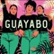 Guayabo artwork