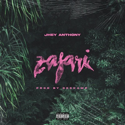 Zafari - Single