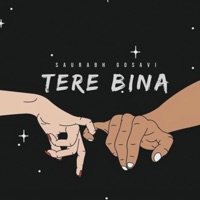Tere Bina - Single - Saurabh Gosavi