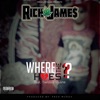 Where the Hoes at? (feat. Twisted Insane) - Single