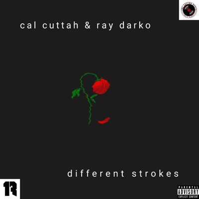 Different Strokes (feat. Ray Darko) - Single