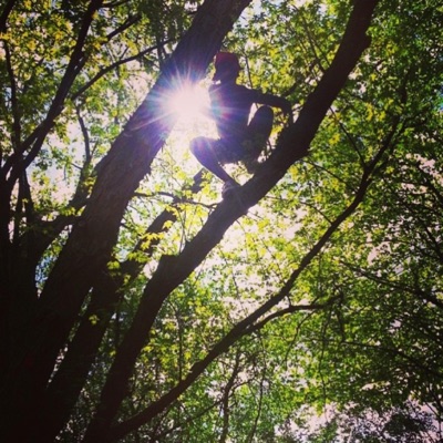 Sequoia Boi - Single