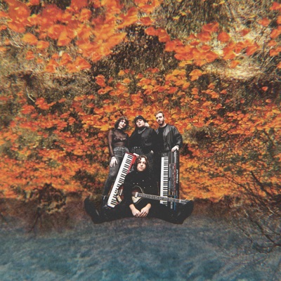 What Are You Running From? (feat. Dorothea, Joe August & Afterspace) - Single