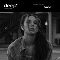 Take It - Single - Sean David