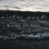 WAVES OF SOUL