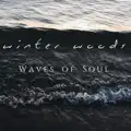 WAVES OF SOUL