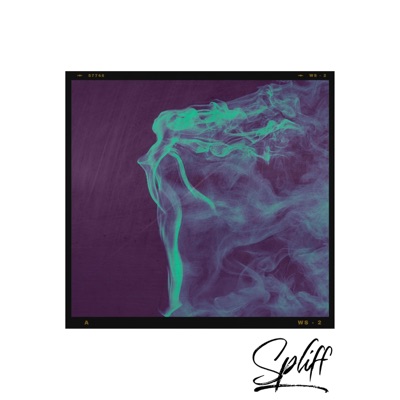 Spliff (feat. RapMoses & Smokky B) - Single