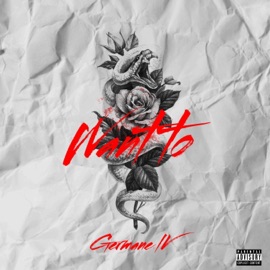 Want to (feat. Endrae) germane lV