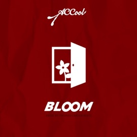 Bloom A.C. Cool