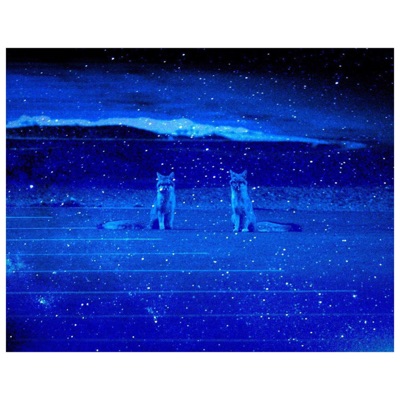 With You (feat. Amber Martin) - Single