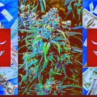 A New Journey (feat. Tcc Sasquatch & Witchesblood) - Single - P3svdillv Urbvnv