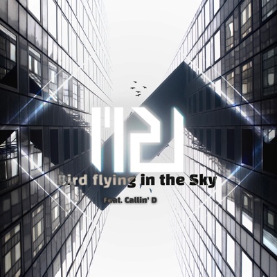 Bird Flying in the Sky (feat. Callin' D) - Single
