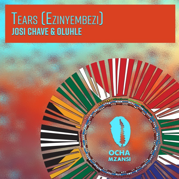 Tears (Ezinyembezi) - Single