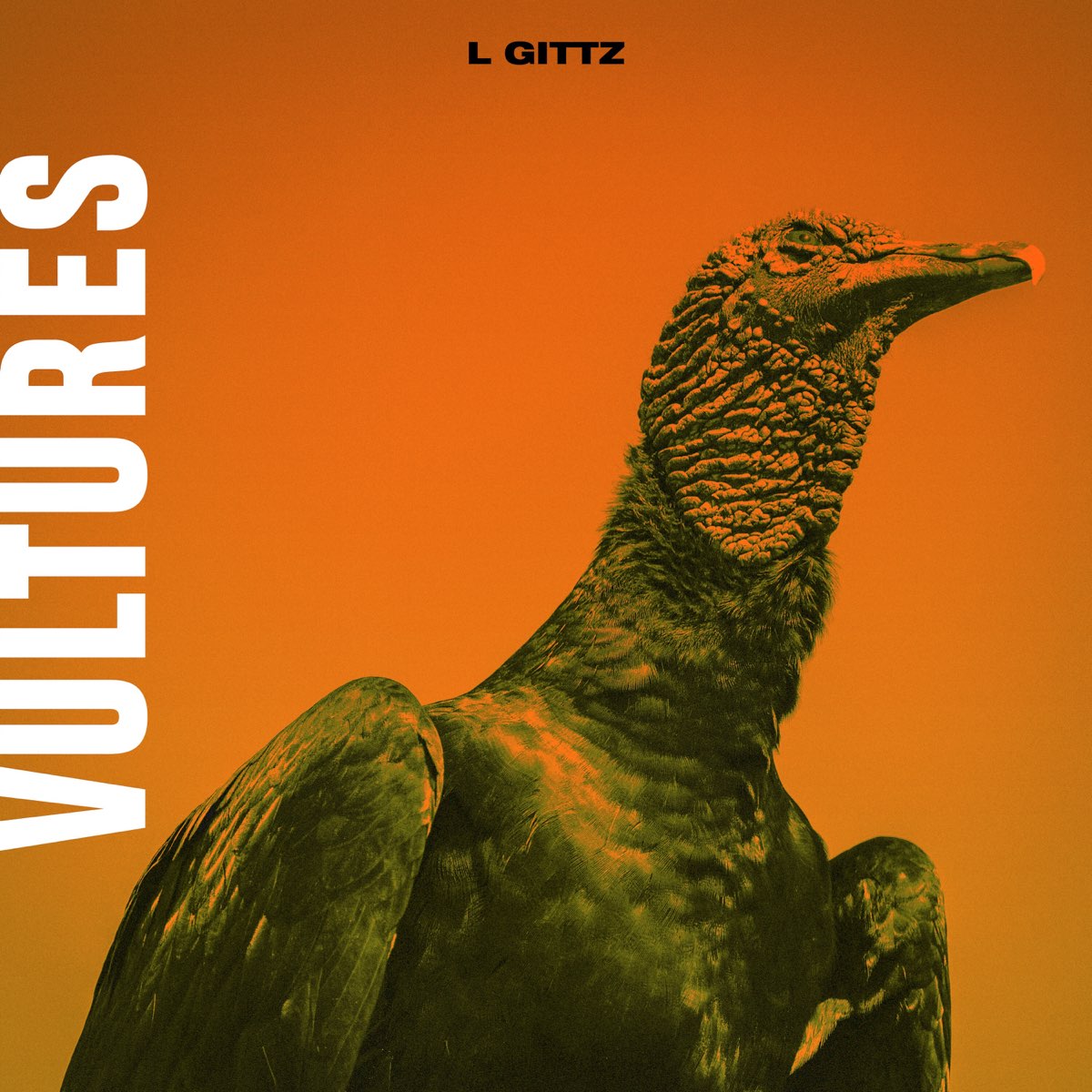 Vultures album. Vultures альбом. Альбом Vultures 1. Vultures 2 обложка. Обложка альбома Vultures.