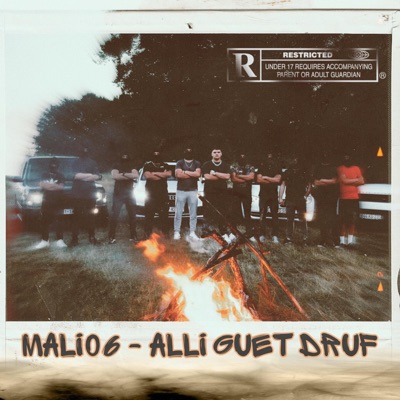 ALLI GUET DRUF - Single