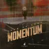 Stream & download The Momentum - Single