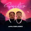 Umu obiligbo - Amara