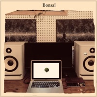 Bonsaï - Single - Racasse