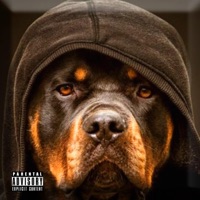 Hounds - Single - Sneako