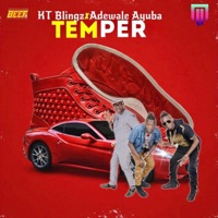 Temper (feat. Adewale Ayuba) - Single - Kt Blingz