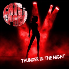 Thunder in the Night - Single