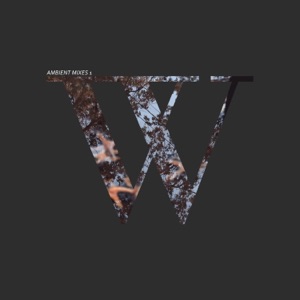 Ambient Mixes 1 (Ambient Mix) - EP